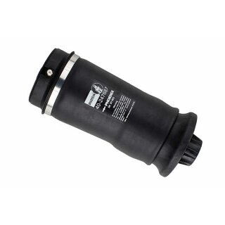 Bilstein B4 Airmatic Luftfeder Hinterachse MERCEDES-BENZ GL-KLASSE (X164) 40-247687