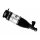 Bilstein B4 Airmatic Luftfederbeinmodul Hinterachse links AUDI Q7 (4L) 45-240973