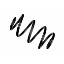 Bilstein B3 Schraubenfeder Hinterachse RENAULT CLIO III...