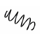 Bilstein B3 Schraubenfeder Vorderachse VW TOURAN (1T1,...