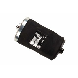 Bilstein B3 Airmatic Luftfeder Hinterachse links BMW X5 (E53) 40-221601