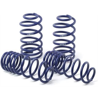 H&R Sportfedersatz Tieferlegungsfedern Rover/MG 216 3-Türer 29827-2