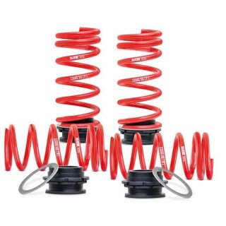 H&R höhenverstellbare Federn 23008-1