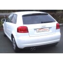 Friedrich Motorsport Gr.A Anlage Audi A3 8P Frontantrieb 961025T-X