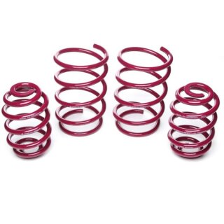 Vogtland Sportfedersatz 951025