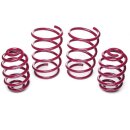 Vogtland Sportfedersatz 951203