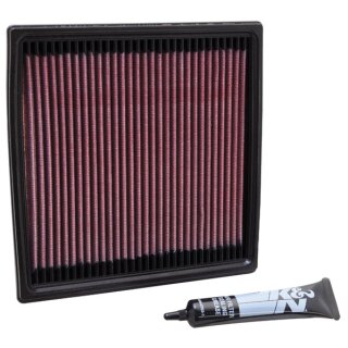 K&N Replacement Air Filter DU-0900